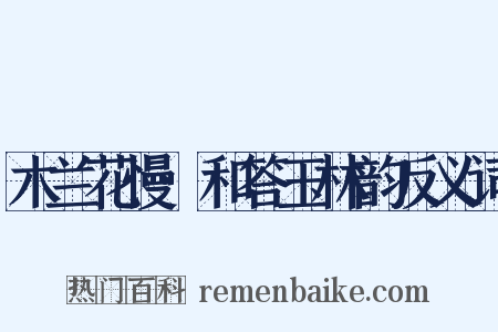 木兰花慢·和答玉林韵反义词是什么意思的图片